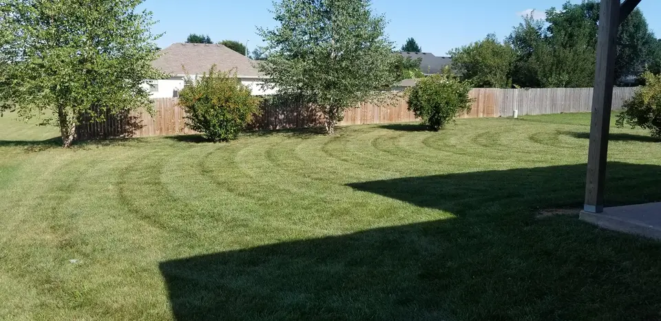Striped lawn with a fence line and trees, recent work by L&M Lawncare