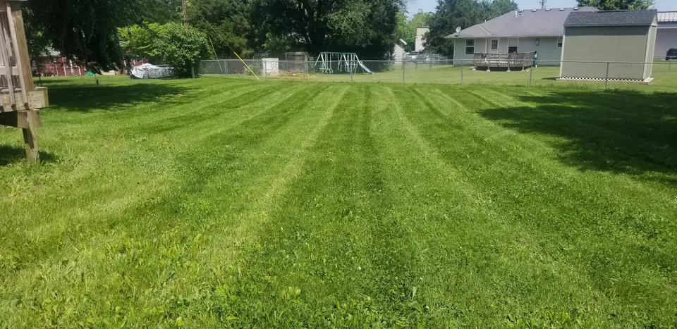 Freshly mowed, striped lawn in a fenced backyard, cut by L&M Lawncare