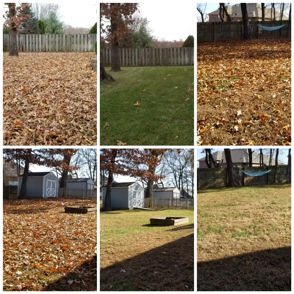 Collage of a yard covered in leaves and the same yard cleaned up